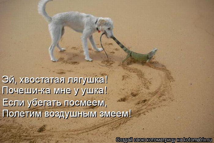 Эй, хвостатая лягушка! Почеши-ка мне у ушка! Полетим воздушным змеем! Если убегать посмеем,... Котоматрица: Эй, хвостатая лягушка! Почеши-ка мне у ушка! Полетим воздушным змеем! Если убегать посмеем,