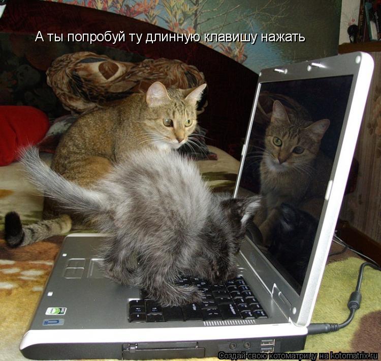 А ты попробуй ту длинную клавишу нажать... Котоматрица: А ты попробуй ту длинную клавишу нажать