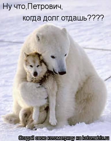 Ну что,Петрович, когда долг отдашь????... Котоматрица: Ну что,Петрович, когда долг отдашь????
