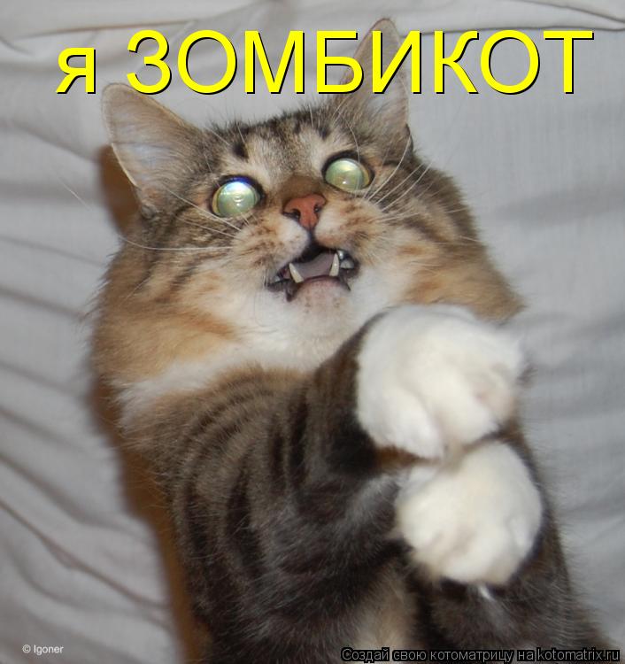 я ЗОМБИКОТ... Котоматрица: я ЗОМБИКОТ