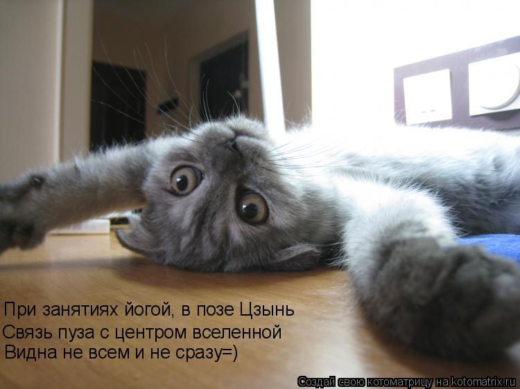 Связь пуза с центром вселенной Видна не всем и не сразу=) При занятиях йогой, в позе Цзынь... Котоматрица: Связь пуза с центром вселенной Видна не всем и не сразу=) При занятиях йогой, в позе Цзынь