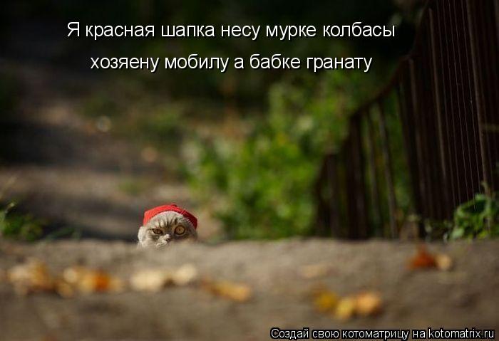 Я красная шапка несу мурке колбасы хозяену мобилу а бабке гранату... Котоматрица: Я красная шапка несу мурке колбасы хозяену мобилу а бабке гранату