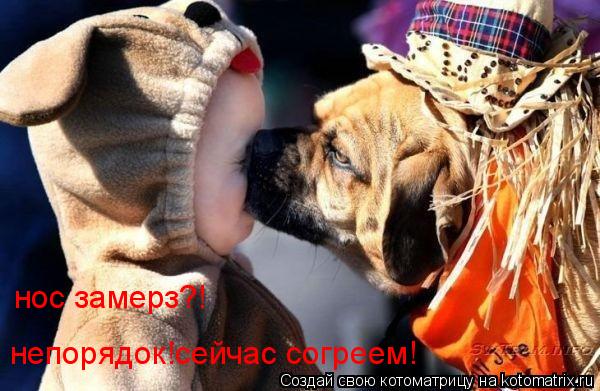 нос замерз?! непорядок!сейчас согреем!... Котоматрица: нос замерз?! непорядок!сейчас согреем!