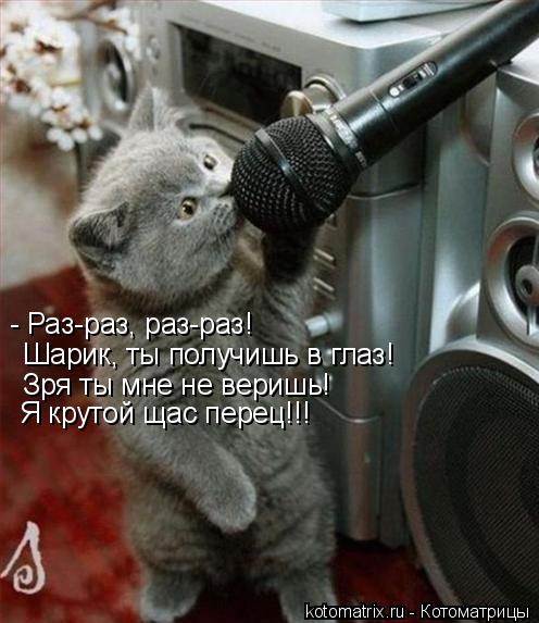 Котоматрица: - Раз-раз, раз-раз! Шарик, ты получишь в глаз! Зря ты мне не веришь! Я крутой щас перец!!!