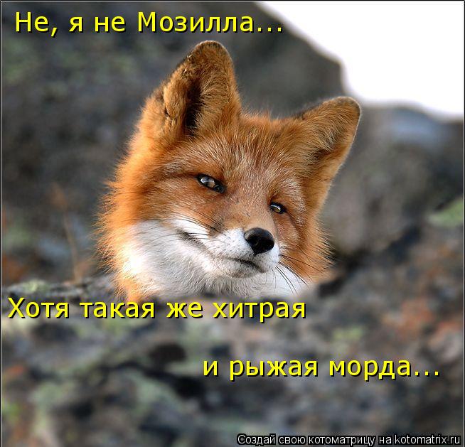 Не, я не Мозилла... Хотя такая же хитрая и рыжая морда...... Котоматрица: Не, я не Мозилла... Хотя такая же хитрая и рыжая морда...
