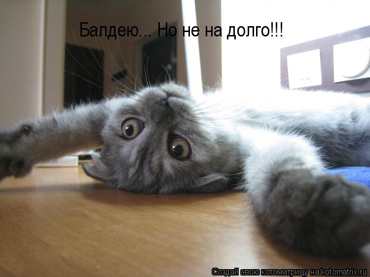 Балдею... Но не на долго!!!... Котоматрица: Балдею... Но не на долго!!!