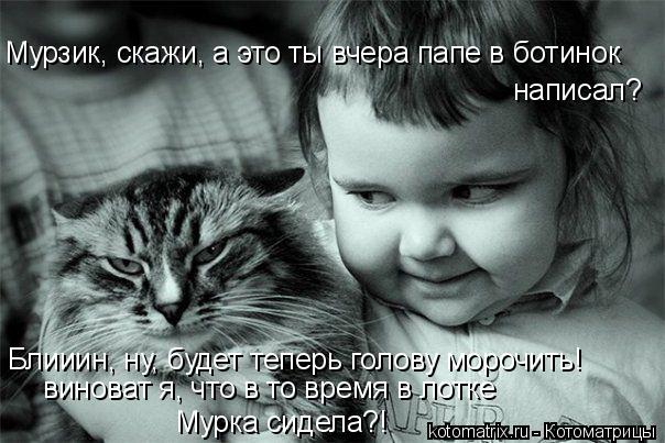 Мурзик, скажи, а это ты вчера папе в ботинок написал? виноват я, что в то время в лотке Мурка сидела?... Котоматрица: Мурзик, скажи, а это ты вчера папе в ботинок написал? виноват я, что в то время в лотке Мурка сидела?! Блииин, ну, будет теперь голову морочить!