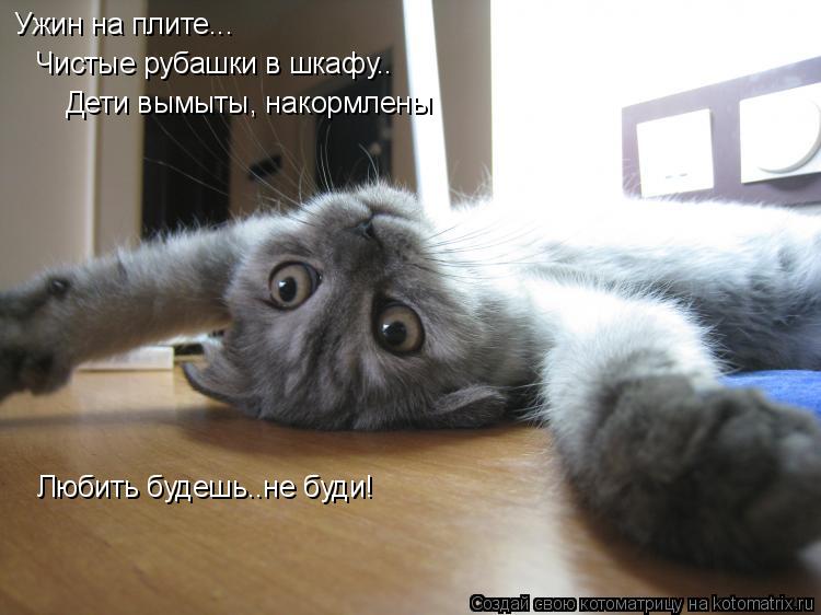 Ужин на плите... Чистые рубашки в шкафу.. Дети вымыты, накормлены Любить будешь..не буди!... Котоматрица: Ужин на плите... Чистые рубашки в шкафу.. Дети вымыты, накормлены Любить будешь..не буди!