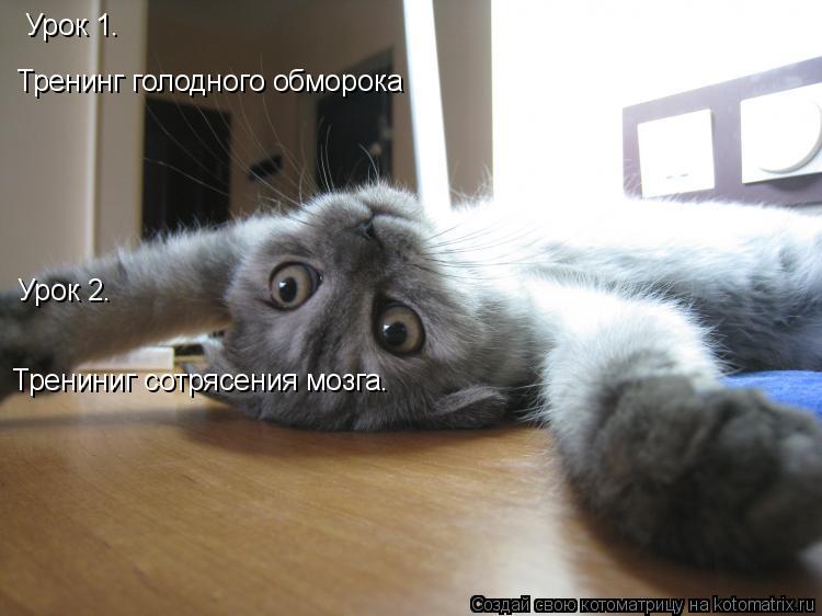 Урок 1. Тренинг голодного обморока Урок 2. Трениниг сотрясения мозга.... Котоматрица: Урок 1. Тренинг голодного обморока Урок 2. Трениниг сотрясения мозга.