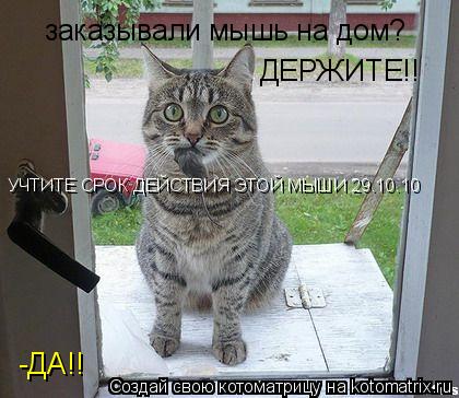 заказывали мышь на дом? -ДА!! ДЕРЖИТЕ!! УЧТИТЕ СРОК ДЕЙСТВИЯ ЭТОЙ МЫШИ 29.10.10... Котоматрица: заказывали мышь на дом? -ДА!! ДЕРЖИТЕ!! УЧТИТЕ СРОК ДЕЙСТВИЯ ЭТОЙ МЫШИ 29.10.10