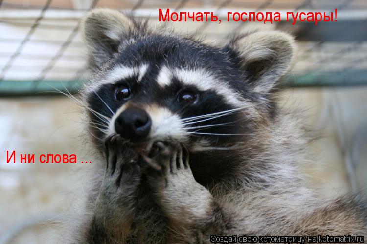 Молчать, господа гусары! И ни слова ...... Котоматрица: Молчать, господа гусары! И ни слова ...