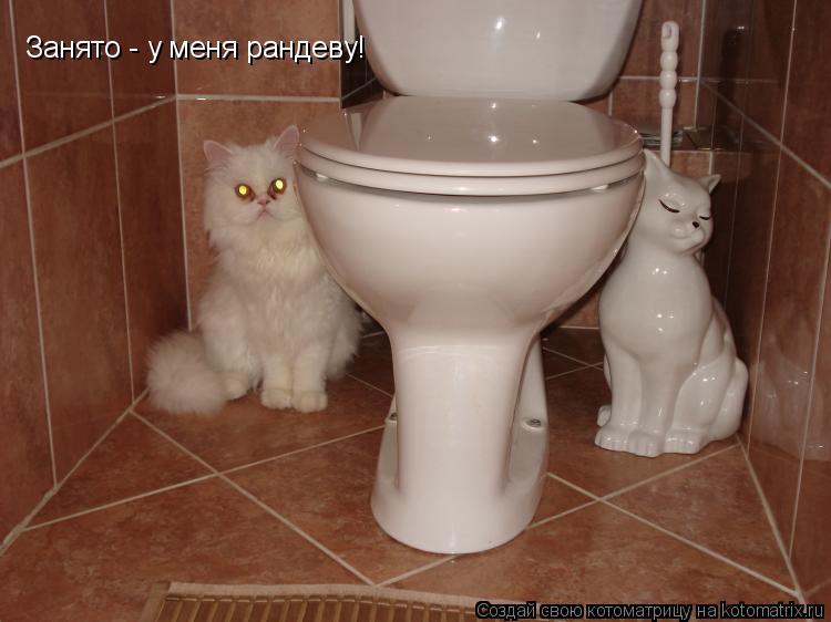 Занято - у меня рандеву!... Котоматрица: Занято - у меня рандеву!