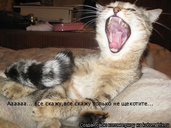 Аааааа... все скажу,все скажу только не щекотите...... Котоматрица: Аааааа... все скажу,все скажу только не щекотите...