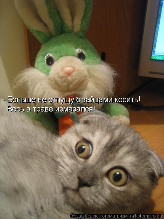 - Больше не отпущу с зайцами косить! Весь в траве измазался!... Котоматрица: - Больше не отпущу с зайцами косить! Весь в траве измазался!