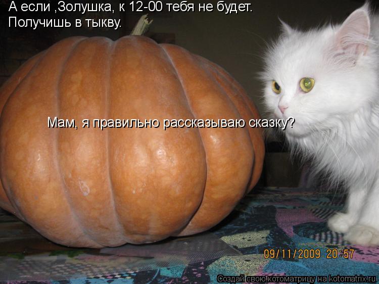 А если ,Золушка, к 12-00 тебя не будет. Получишь в тыкву. Мам, я правильно рассказываю сказку?... Котоматрица: А если ,Золушка, к 12-00 тебя не будет. Получишь в тыкву. Мам, я правильно рассказываю сказку?