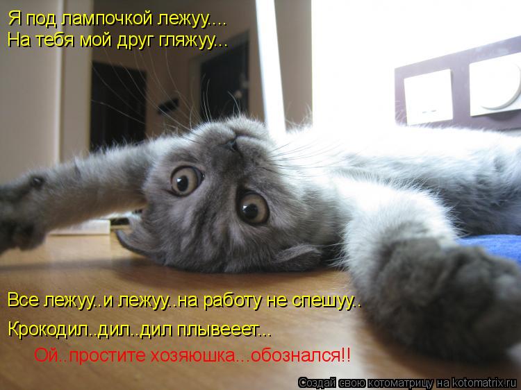 Я под лампочкой лежуу.... На тебя мой друг гляжуу... Крокодил..дил..дил плывееет... Все лежуу..и лежу... Котоматрица: Я под лампочкой лежуу.... На тебя мой друг гляжуу... Крокодил..дил..дил плывееет... Все лежуу..и лежуу..на работу не спешуу.. Ой..простите хозяюшка.