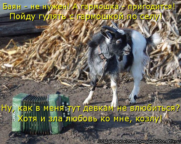 Баян - не нужен! А гармошка - пригодится! Пойду гулять с гармошкой по селу! Ну, как в меня тут девкам... Котоматрица: Баян - не нужен! А гармошка - пригодится! Пойду гулять с гармошкой по селу! Ну, как в меня тут девкам не влюбиться?! Хотя и зла любовь ко мне, коз