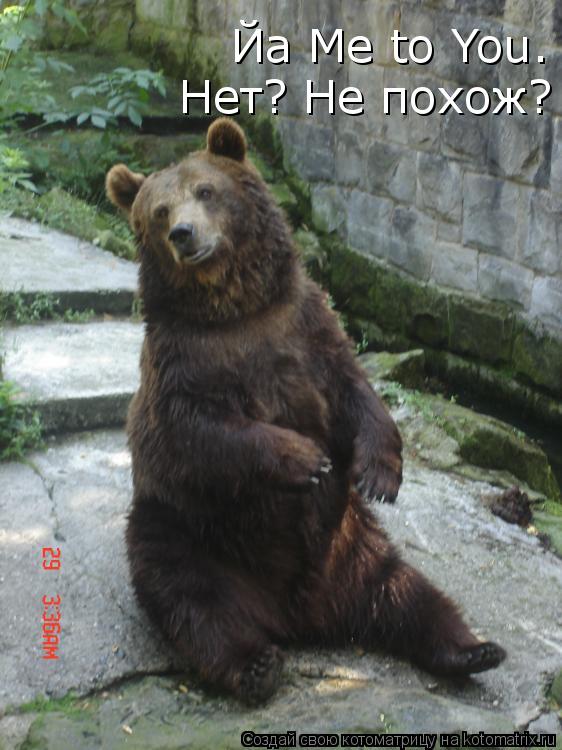 Йа Me to You. Нет? Не похож?... Котоматрица: Йа Me to You. Нет? Не похож?