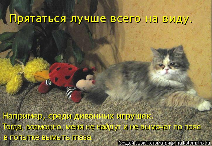 Прятаться лучше всего на виду. Например, среди диванных игрушек. Тогда, возможно, меня не найдут и ... Котоматрица: Прятаться лучше всего на виду. Например, среди диванных игрушек. Тогда, возможно, меня не найдут и не вымочат по пояс в попытке вымыть глаза