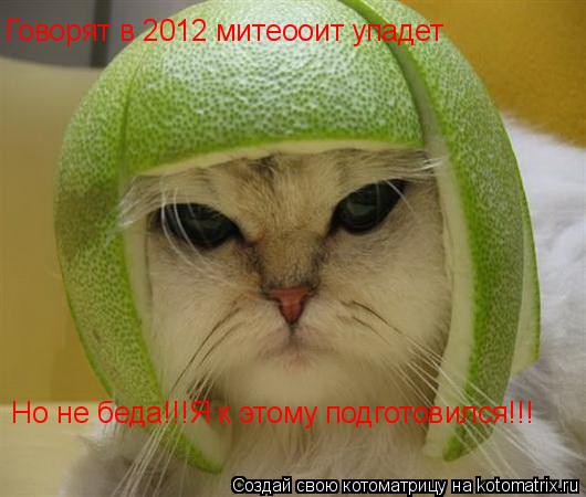 Котоматрица: Говорят в 2012 митеооит упадет Но не беда!!!Я к этому подготовился!!!