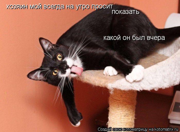 хозяин мой всегда на утро просит показать какой он был вчера... Котоматрица: хозяин мой всегда на утро просит показать какой он был вчера
