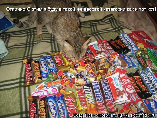 Отлично!С этим я буду в такой же весовой категории как и тот кот!... Котоматрица: Отлично!С этим я буду в такой же весовой категории как и тот кот!