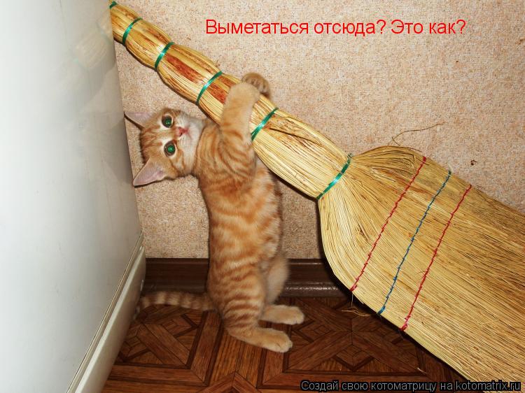 Выметаться отсюда? Это как?... Котоматрица: Выметаться отсюда? Это как?