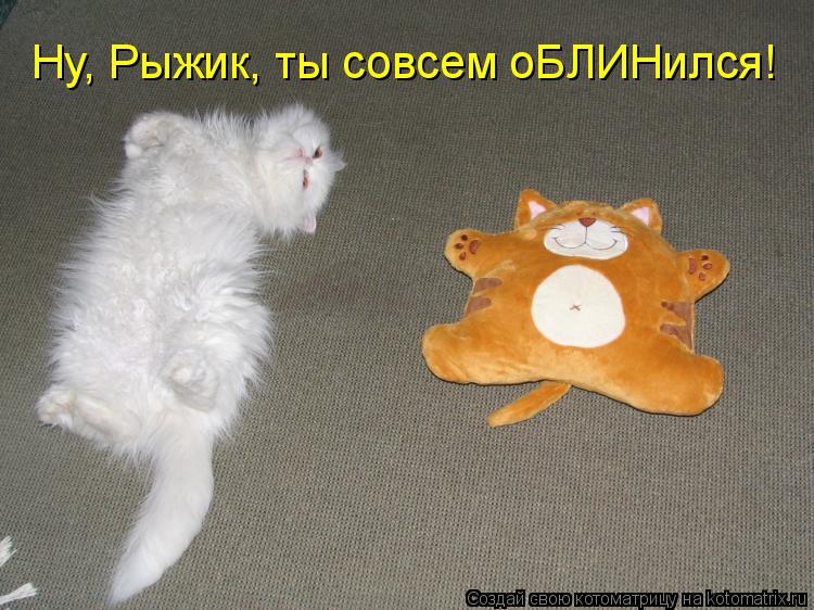 Ну, Рыжик, ты совсем оБЛИНился!... Котоматрица: Ну, Рыжик, ты совсем оБЛИНился!