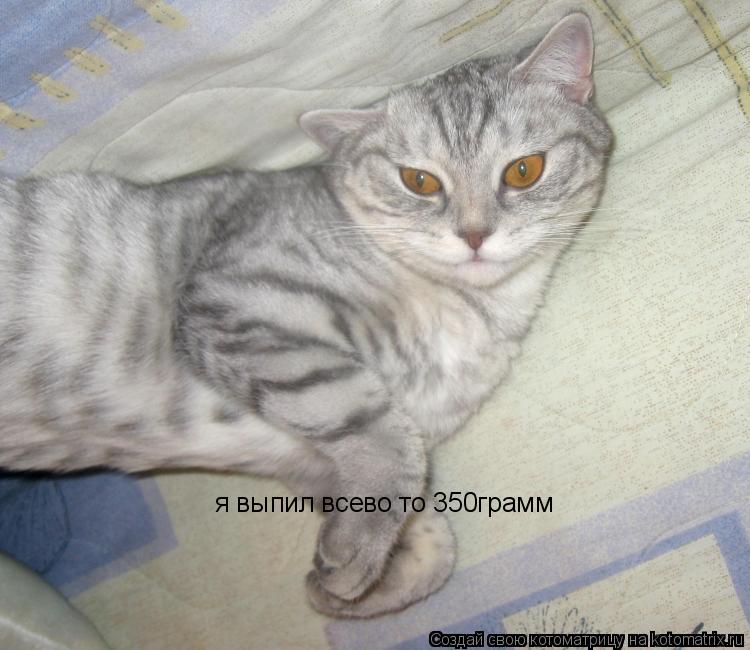 я выпил всево то 350грамм... Котоматрица: я выпил всево то 350грамм