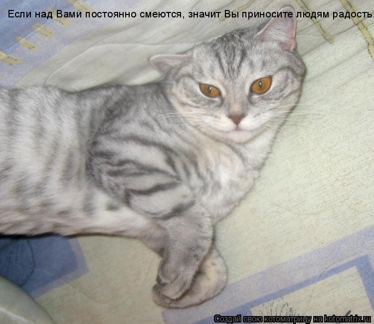 Если над Вами постоянно смеются, значит Вы приносите людям радость.... Котоматрица: Если над Вами постоянно смеются, значит Вы приносите людям радость.