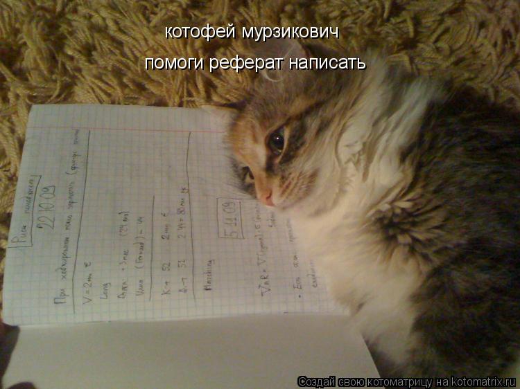 котофей мурзикович помоги реферат написать... Котоматрица: котофей мурзикович помоги реферат написать