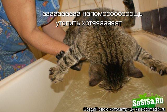 аааааааааа напомоооооооощь утопить хотяяяяяяят... Котоматрица: аааааааааа напомоооооооощь утопить хотяяяяяяят