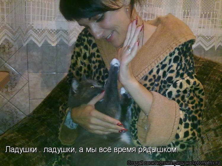 Ладушки – ладушки, а мы всё время рядышком…... Котоматрица: Ладушки – ладушки, а мы всё время рядышком…