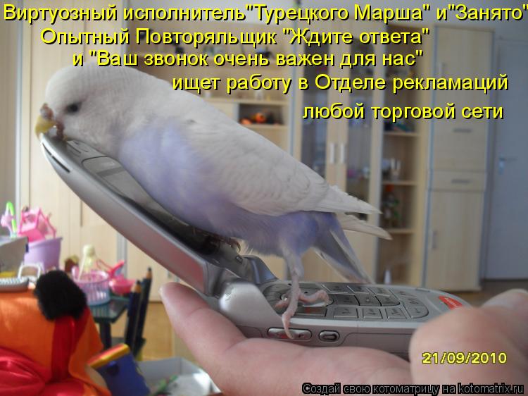 Опытный Повторяльщик "Ждите ответа" и "Ваш звонок очень важен для нас" ищет работу в Отделе рекламац... Котоматрица: Опытный Повторяльщик "Ждите ответа" и "Ваш звонок очень важен для нас" ищет работу в Отделе рекламаций Виртуозный исполнитель"Турецкого Ма