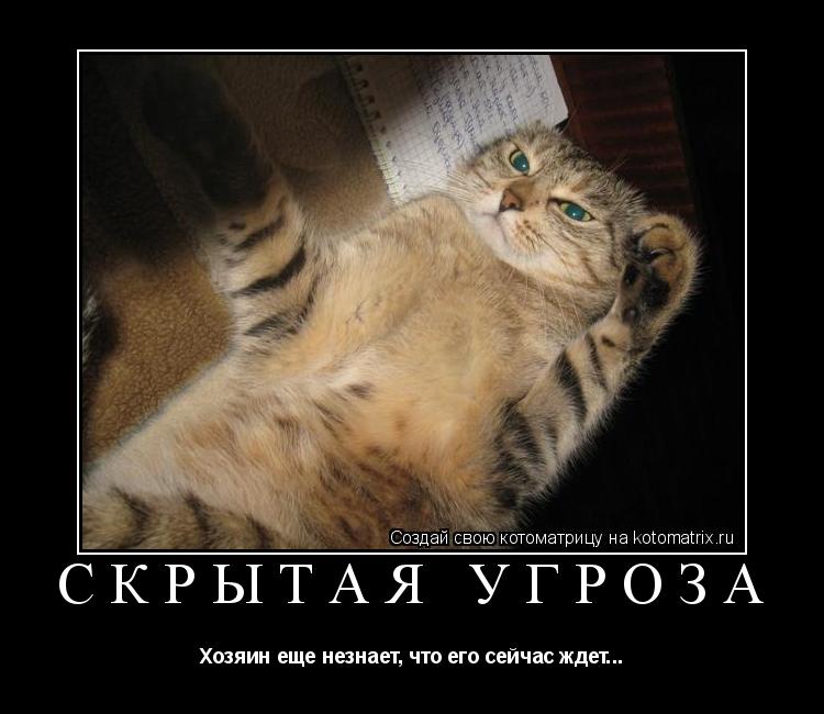 Скрытая угроза Хозяин еще незнает, что его сейчас ждет...... Котоматрица: Скрытая угроза Хозяин еще незнает, что его сейчас ждет...