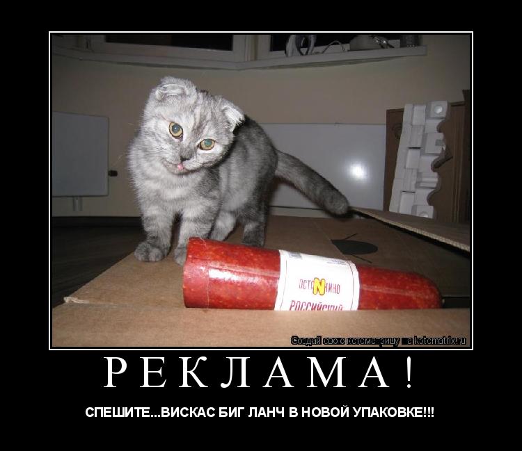 РЕКЛАМА! СПЕШИТЕ...ВИСКАС БИГ ЛАНЧ В НОВОЙ УПАКОВКЕ!!!... Котоматрица: РЕКЛАМА! СПЕШИТЕ...ВИСКАС БИГ ЛАНЧ В НОВОЙ УПАКОВКЕ!!!