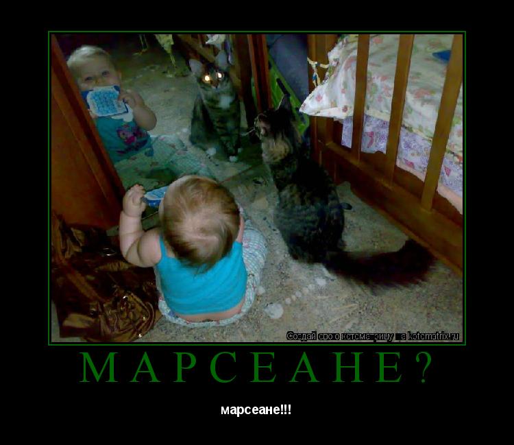 марсеане? марсеане!!!... Котоматрица: марсеане? марсеане!!!