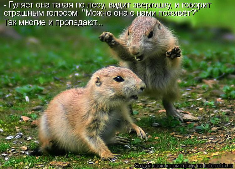 - Гуляет она такая по лесу, видит зверюшку, и говорит страшным голосом: "Можно она с нами поживёт?" Т... Котоматрица: - Гуляет она такая по лесу, видит зверюшку, и говорит страшным голосом: "Можно она с нами поживёт?" Так многие и пропадают...
