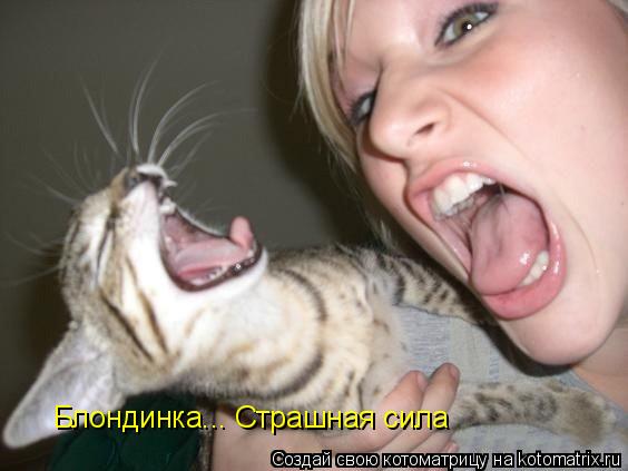Блондинка... Страшная сила... Котоматрица: Блондинка... Страшная сила