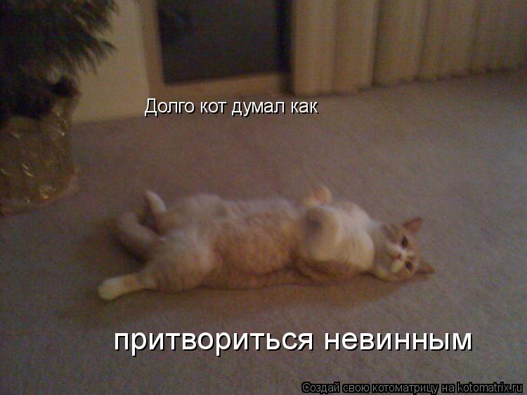 Долго кот думал как притвориться невинным... Котоматрица: Долго кот думал как притвориться невинным