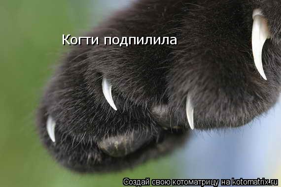 Когти подпилила... Котоматрица: Когти подпилила