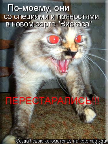 По-моему, они со специями и пряностями в новом сорте "Вискаса" ПЕРЕСТАРАЛИСЬ!!!... Котоматрица: По-моему, они со специями и пряностями в новом сорте "Вискаса" ПЕРЕСТАРАЛИСЬ!!!