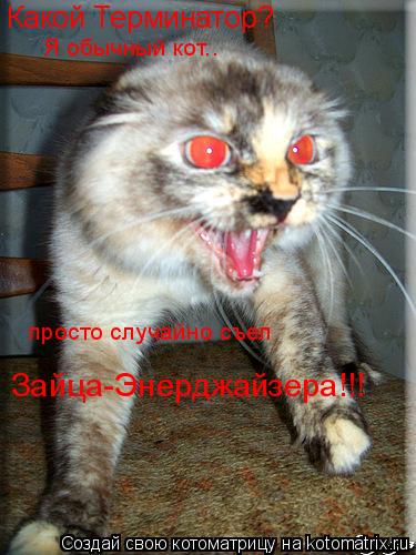 Какой Терминатор? Я обычный кот.. просто случайно съел Зайца-Энерджайзера!!!... Котоматрица: Какой Терминатор? Я обычный кот.. просто случайно съел Зайца-Энерджайзера!!!