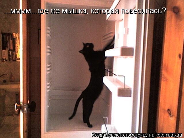 ...мммм...где же мышка, которая повесилась?... Котоматрица: ...мммм...где же мышка, которая повесилась?