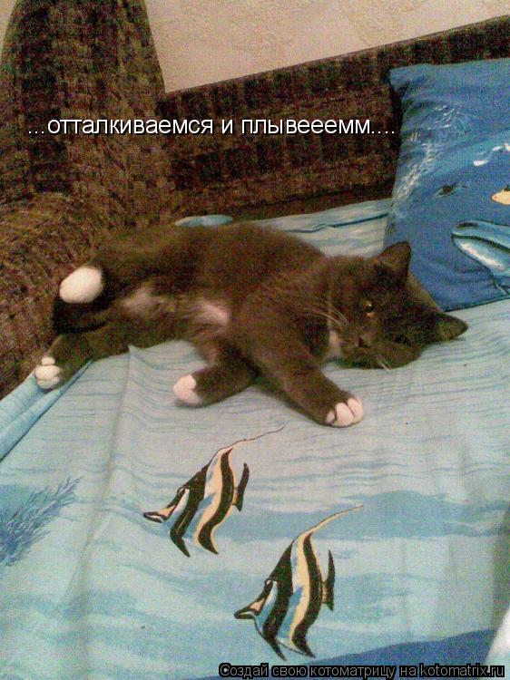 ...отталкиваемся и плывееемм....... Котоматрица: ...отталкиваемся и плывееемм....