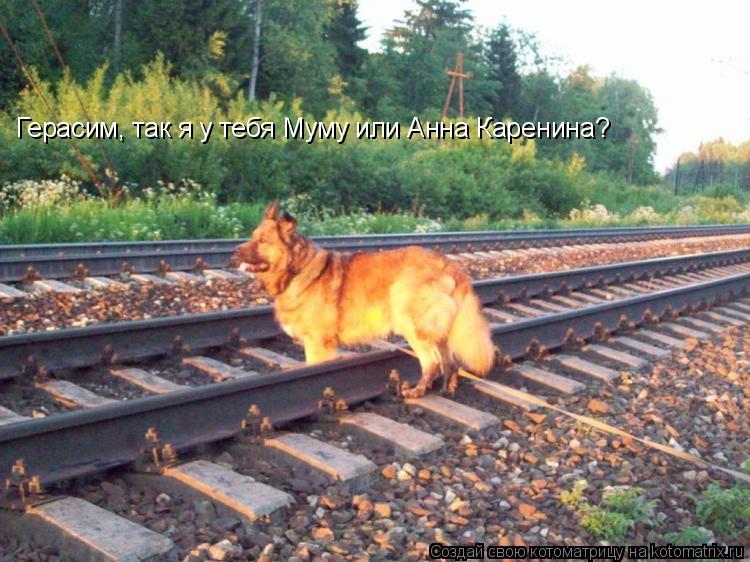 Герасим, так я у тебя Муму или Анна Каренина?... Котоматрица: Герасим, так я у тебя Муму или Анна Каренина?