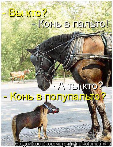 - А ты кто? - Конь в пальто! - Конь в полупальто? - Вы кто?... Котоматрица: - А ты кто? - Конь в пальто! - Конь в полупальто? - Вы кто?