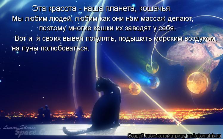 Эта красота - наша планета, кошачья. Мы любим людей, любим как они нам массаж делают, поэтому многи... Котоматрица: Эта красота - наша планета, кошачья. Мы любим людей, любим как они нам массаж делают, поэтому многие кошки их заводят у себя. Вот и я своих вы