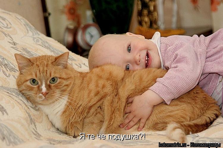 Я те че подушка?!... Котоматрица: Я те че подушка?!