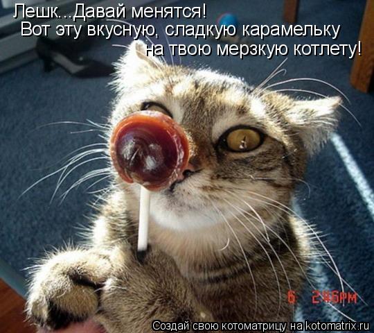 Котоматрица: Лешк...Давай менятся!  Вот эту вкусную, сладкую карамельку  на твою мерзкую котлету!